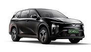 VF MPV 7